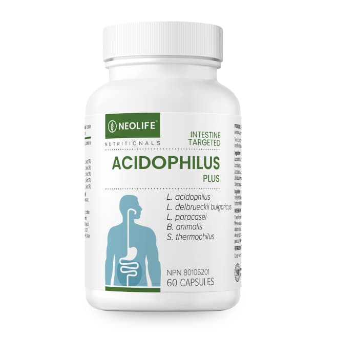 Acidophilus Plus (Single)