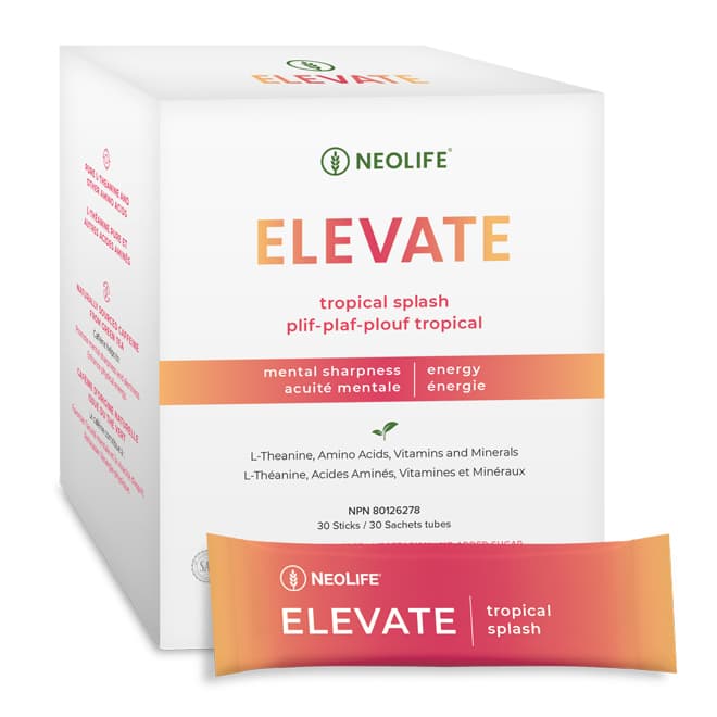Elevate Nootropic Energy Drink (Single)